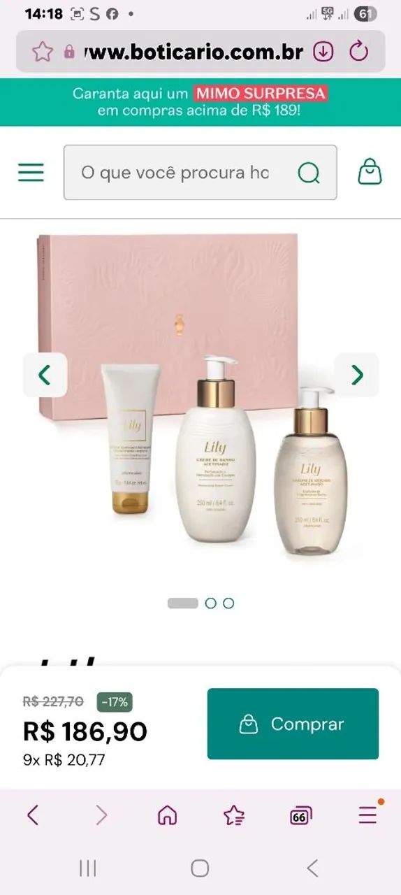 Kit Lily para presentear - Foto 3