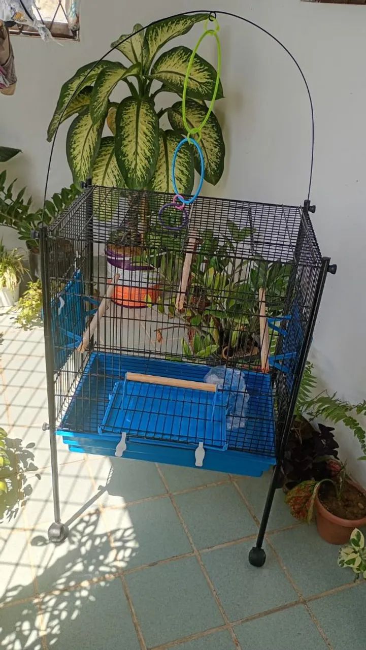 Gaiola passaro - Foto 3