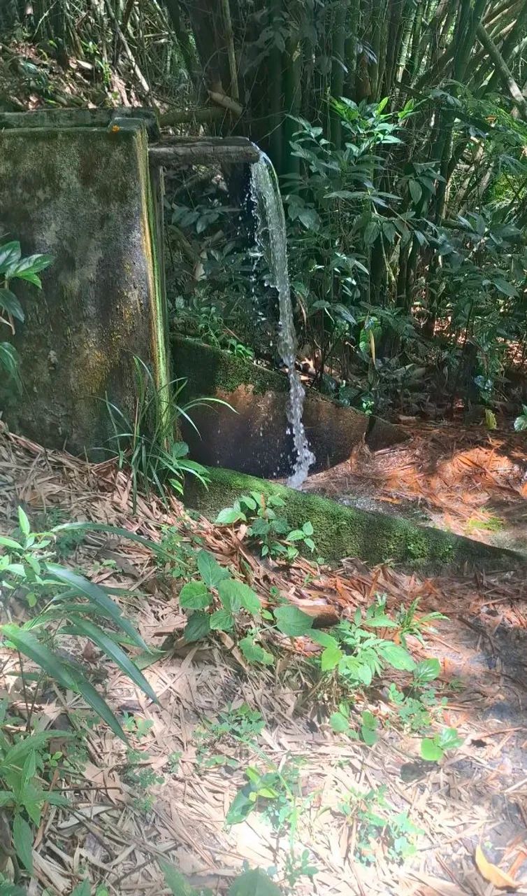 Terreno em aldeia  - Foto 3