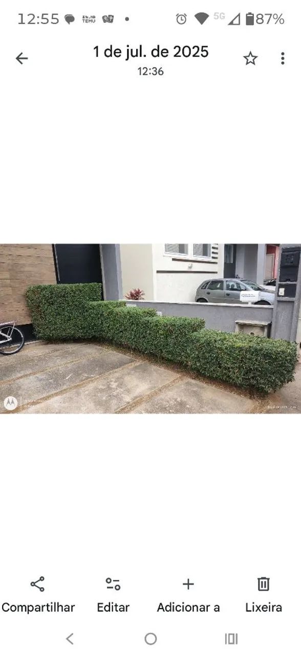 Jardinagem e Paisagismo - Foto 4