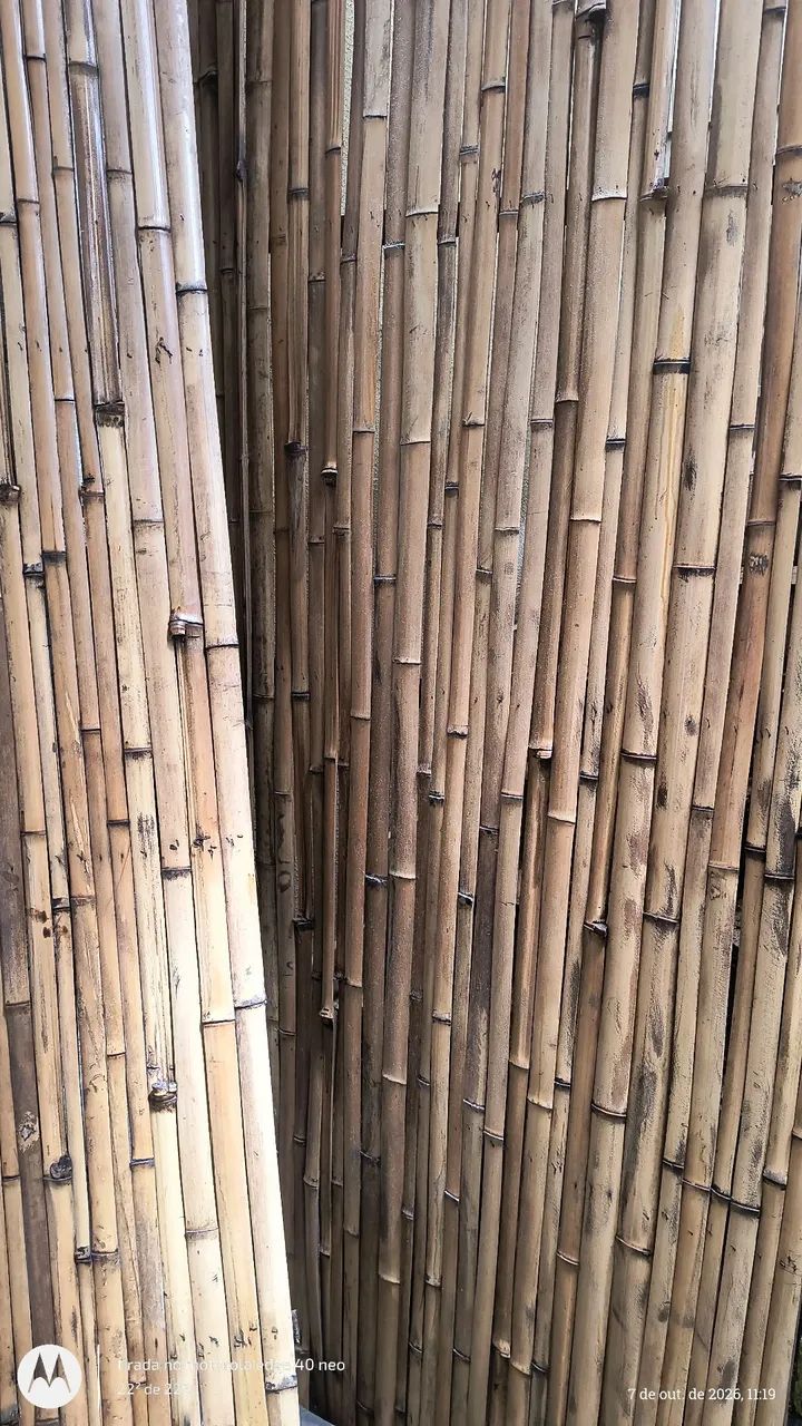 Painel de bambu 