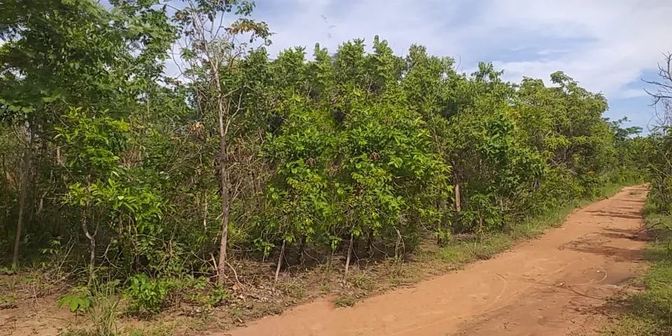 TERRENO DE 10 MIL M² EM TIMOM-MA - Foto 4