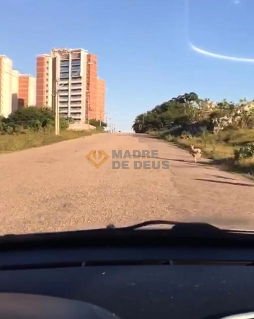 Excelente Terreno nas Dunas - Foto 4