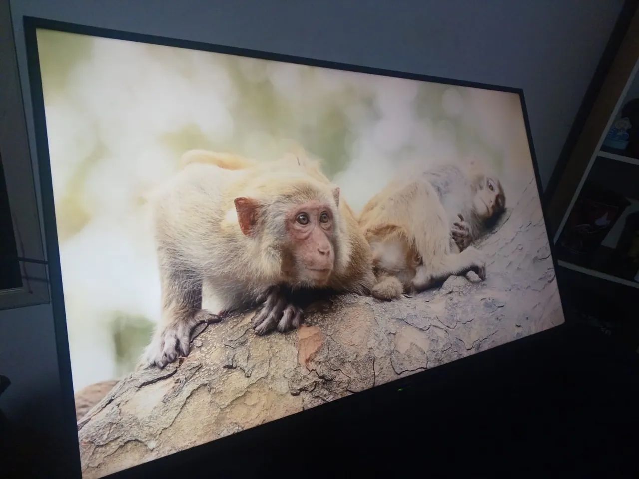 TV SMART 55? 4K - Foto 5