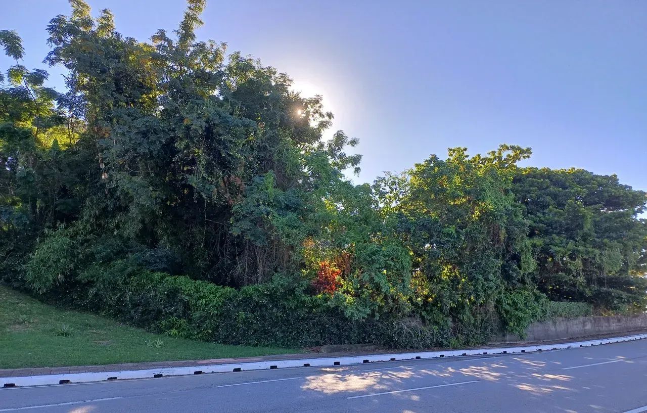BROGNOLI VENDE - TERRENO AO LADO PONTE HERCÍLIIO LUZ - Foto 3