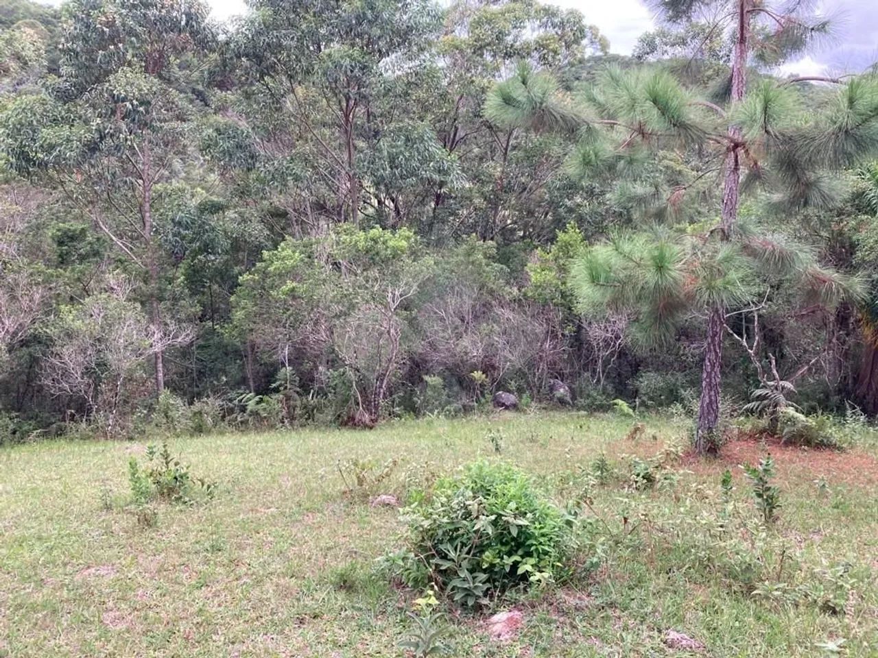 Terreno de 7.106 m² à venda, Ressacada - Garopaba/SC - Foto 5