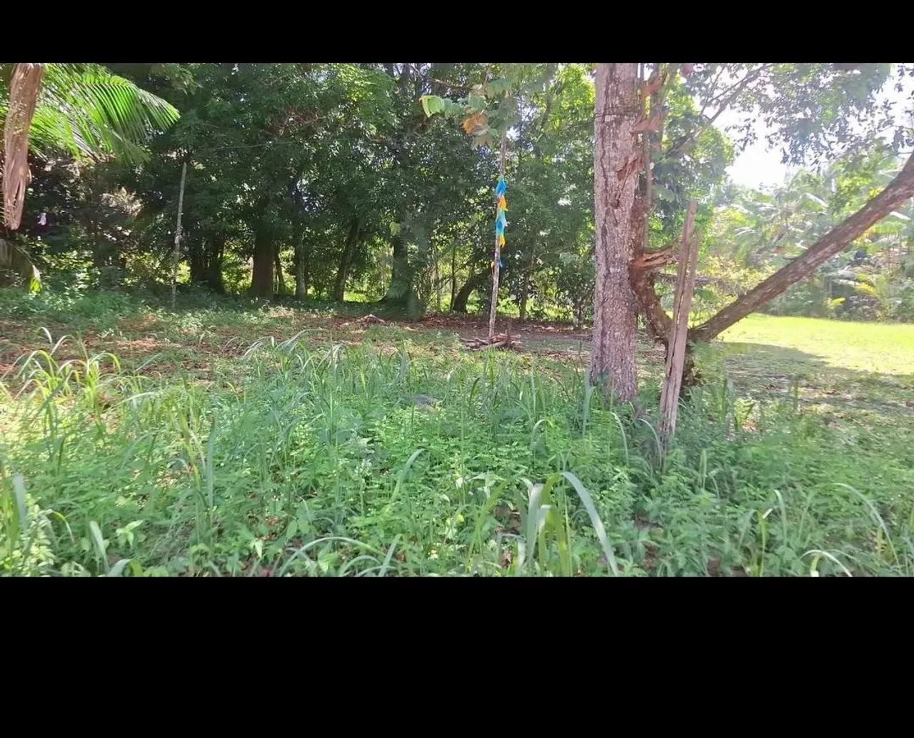 Vendo terreno no Cotijuba  - Foto 3