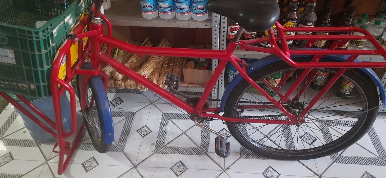 Bicicleta Cargueira 