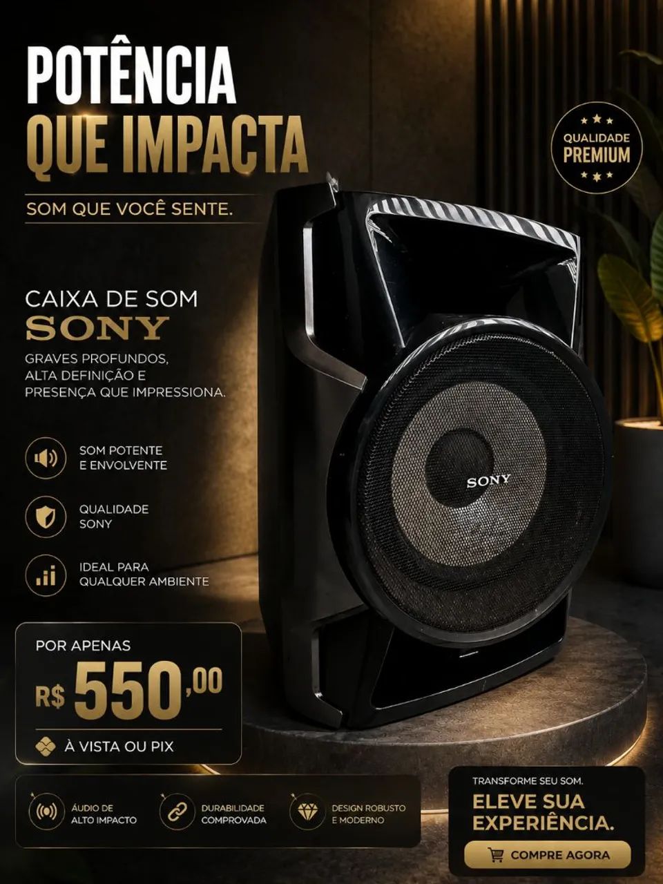 Caixa de Som Sony