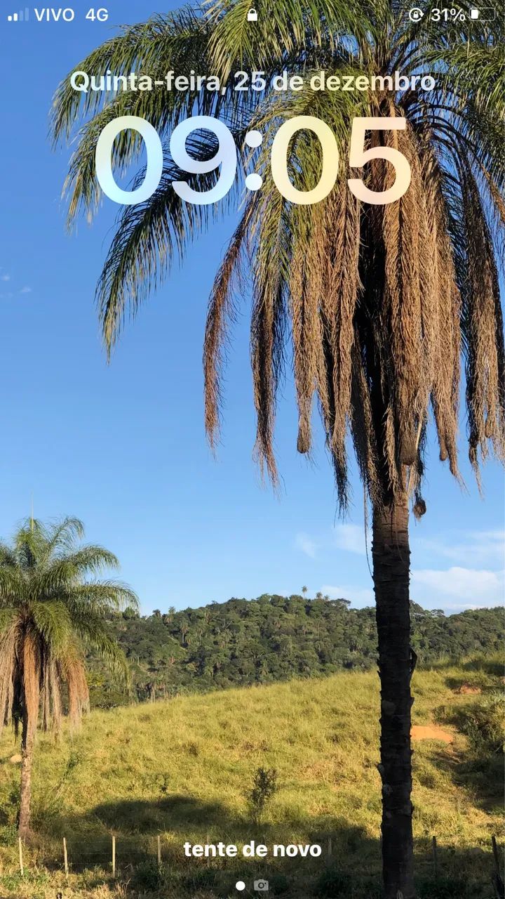 Sitio  e chácaras a venda - Foto 2