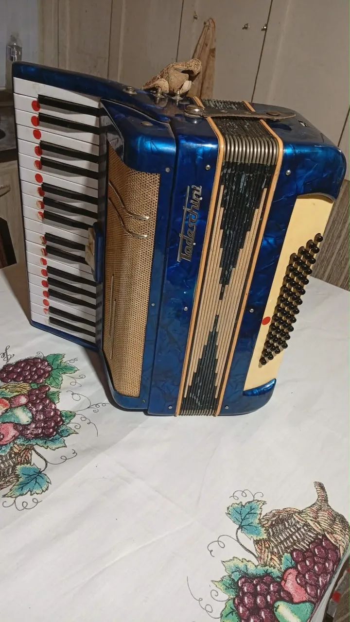 Gaita 40 baixos , marca Todeschini  - Foto 2