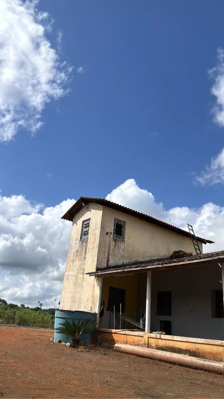Fazenda 18 hectares *97)em feira nova Pernambuco  - Foto 5