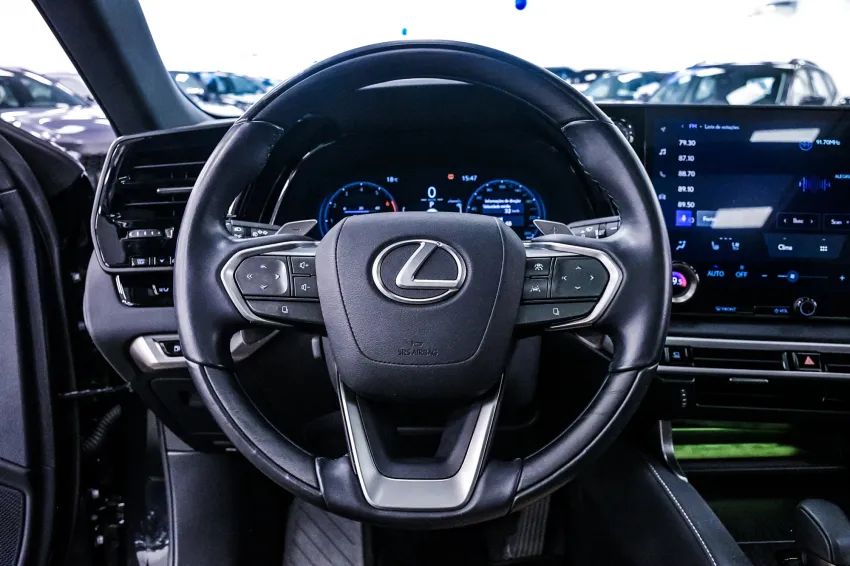 Lexus RX-450h 2.5 16V Aut. (híbrido), foto 15 de 19
