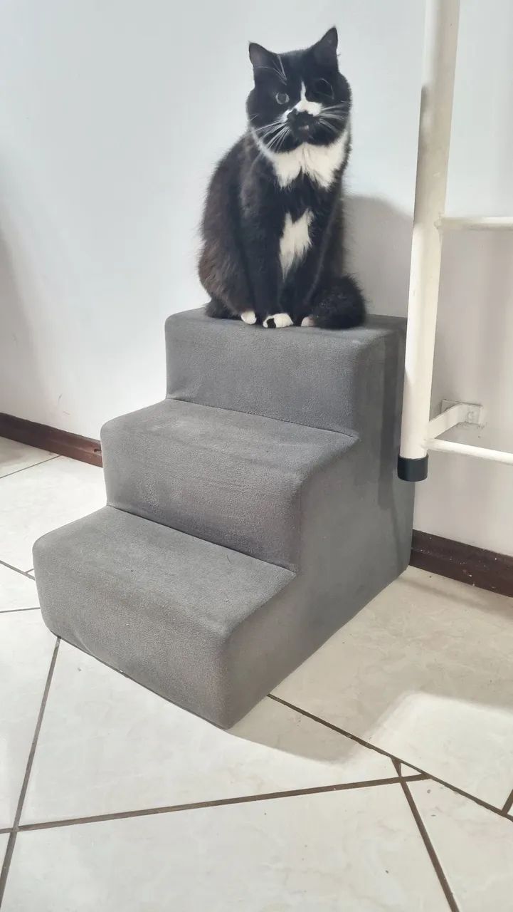 Escadinha para cachorro