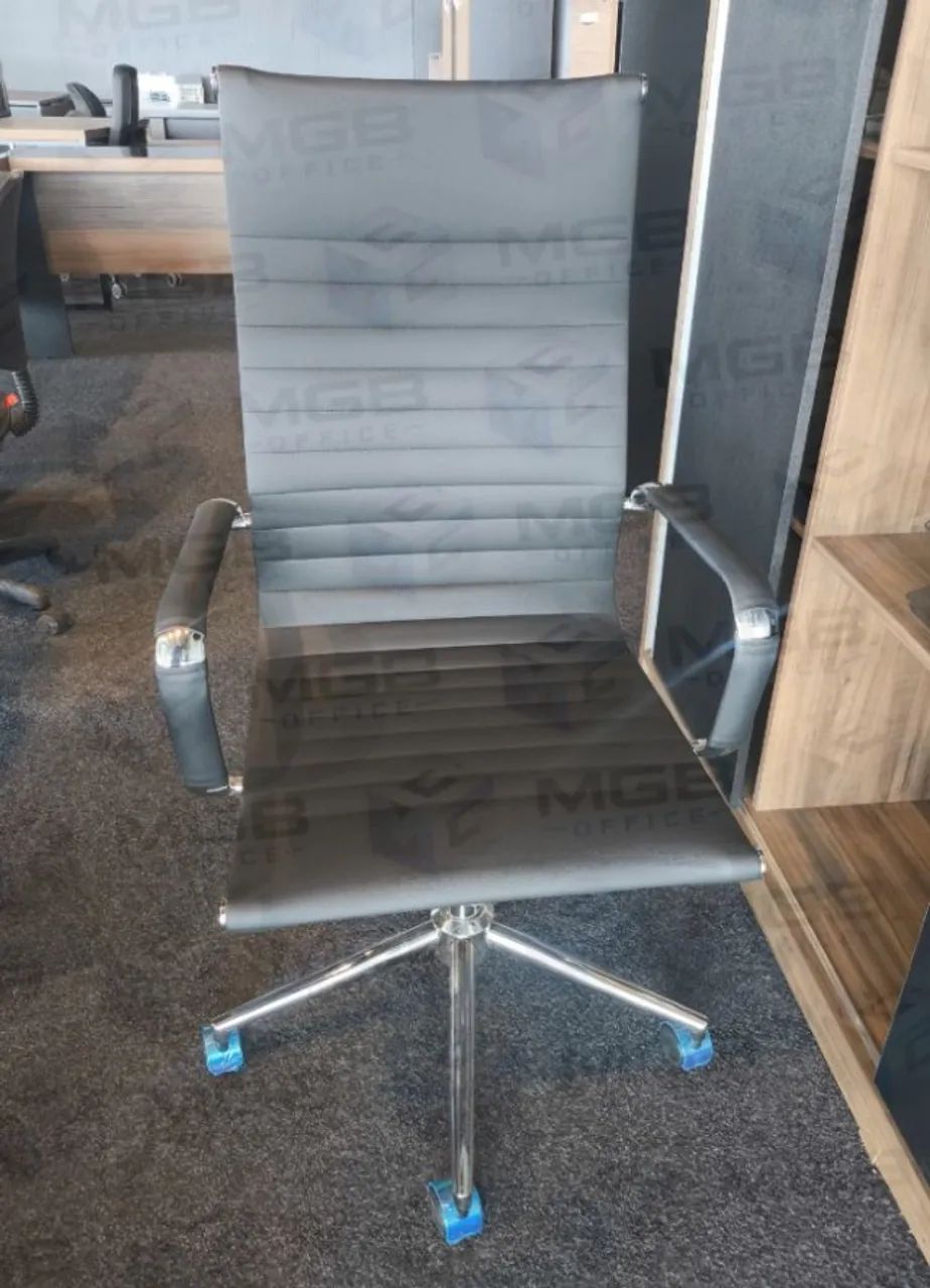 Cadeira de Presidente Esteirinha - ENTREGAMOS DF E ENTORNO