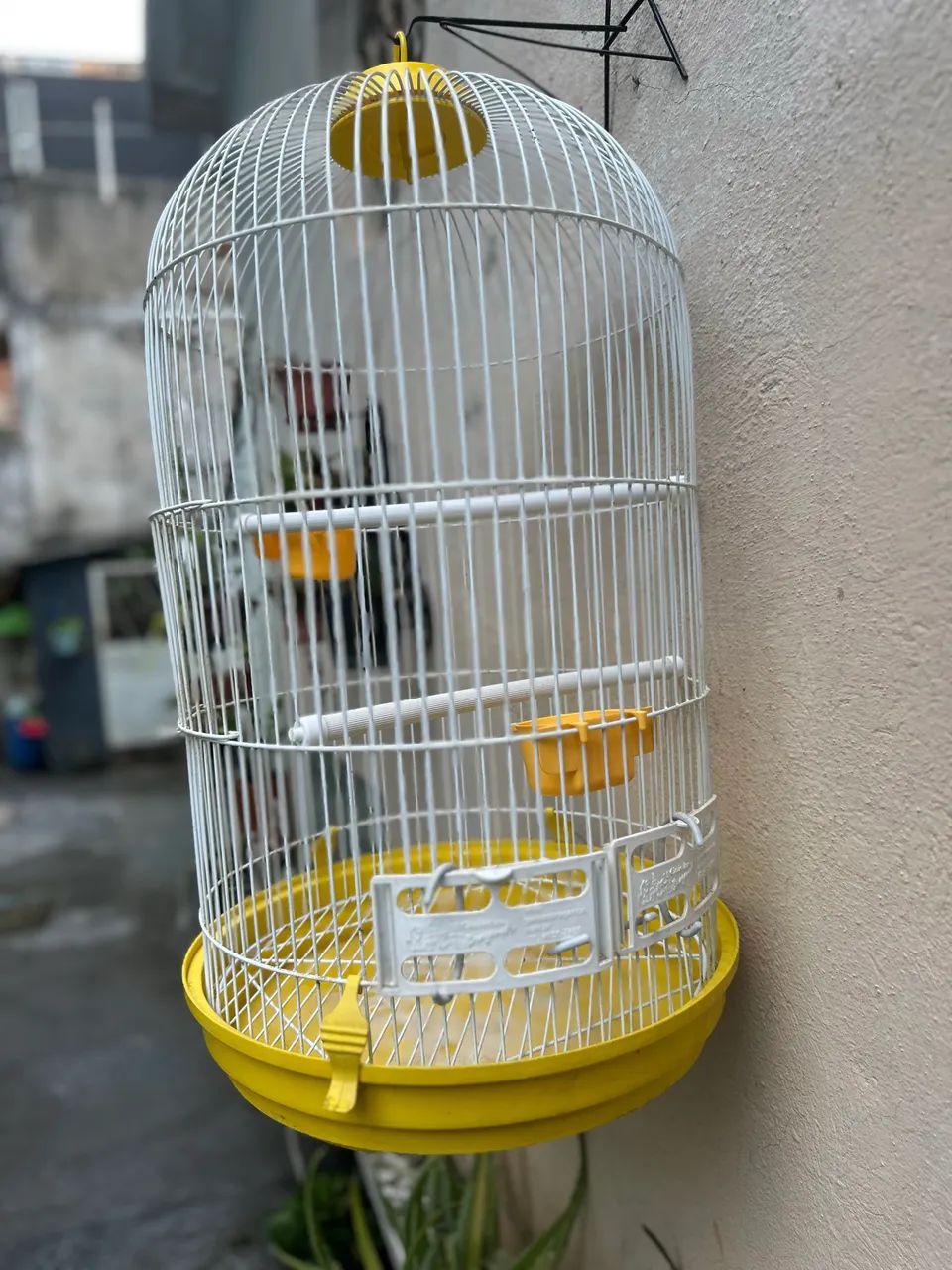 Vendo gaiola para calopsita  - Foto 3