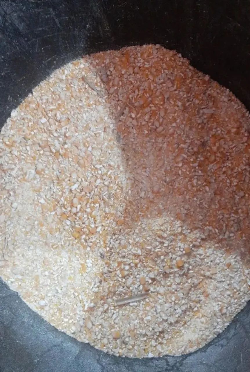 Milho em Grãos, Soja em Grãos e Farelo de Soja moído e Farelo de milho moído - Foto 5