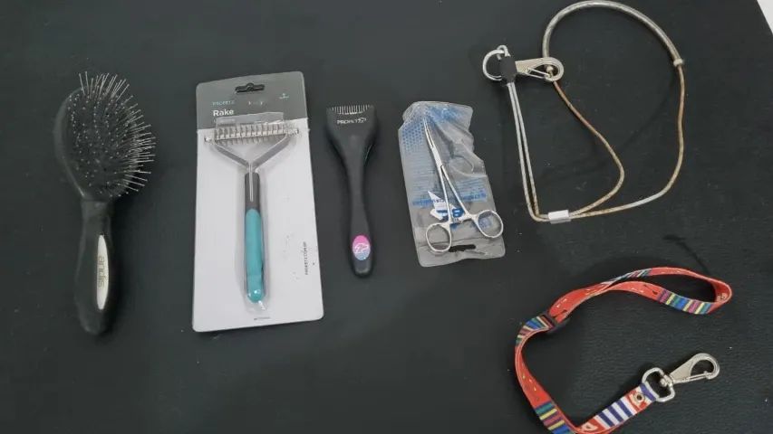 rasqueadeiras e acessórios para pet