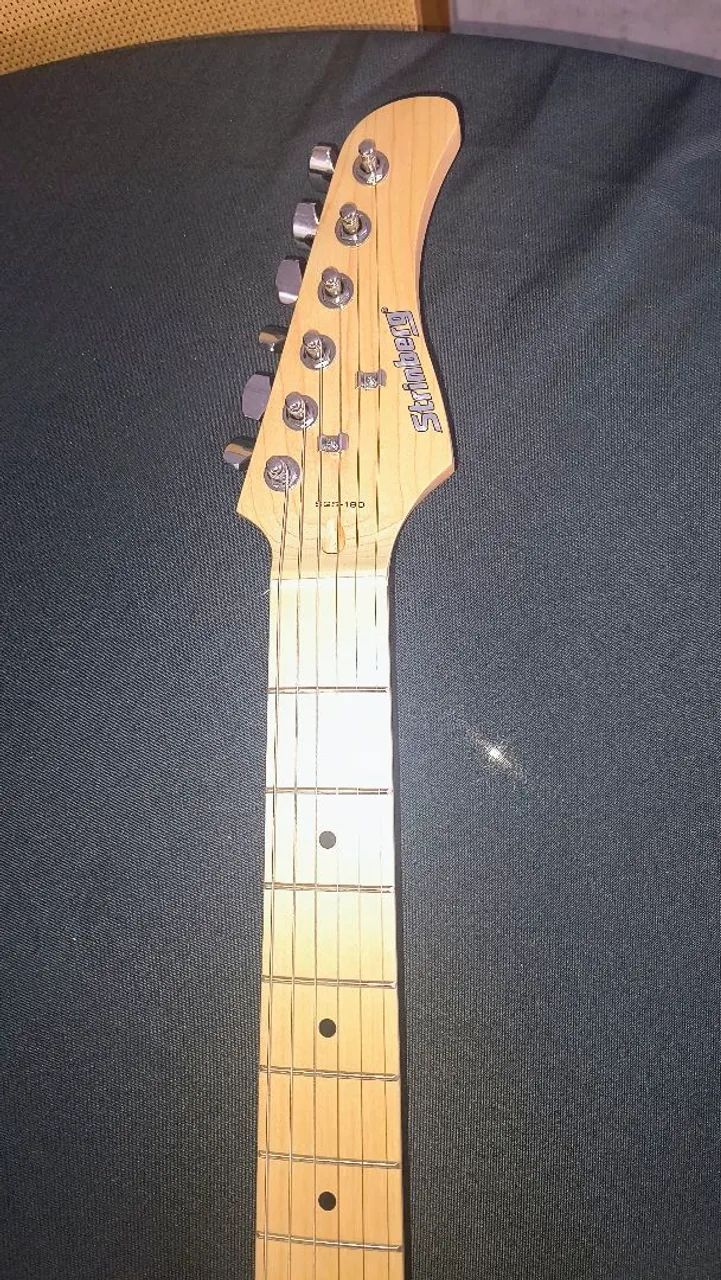 Guitarra Steinberg e pedaleira Blackbox