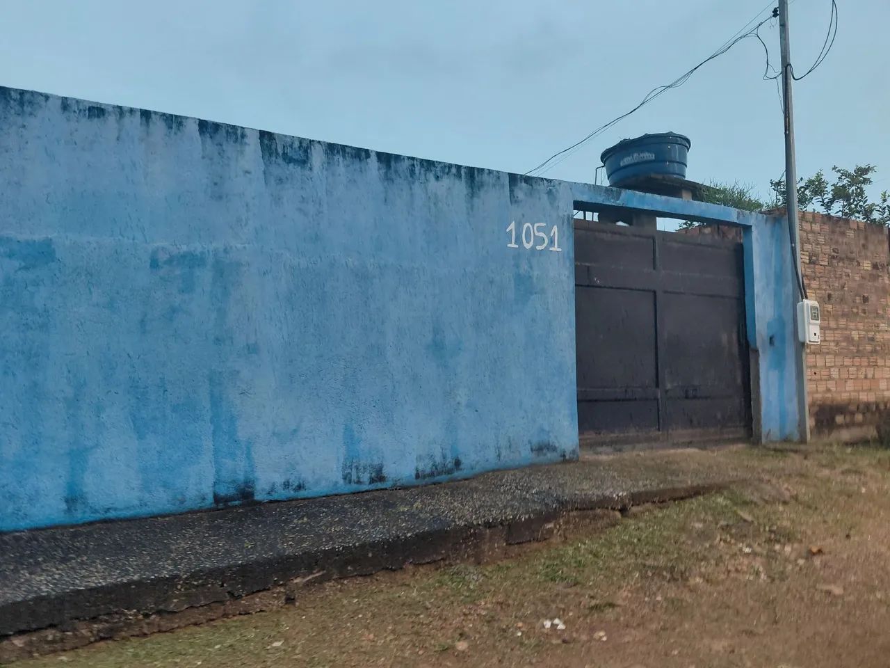 Foto - Porto Velho - Castanheira