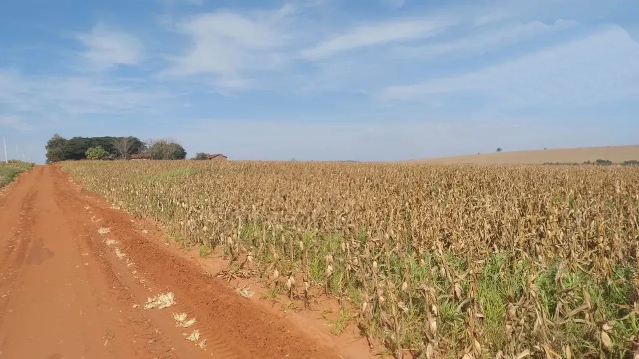 Sítio a venda no PR. NOROESTE.