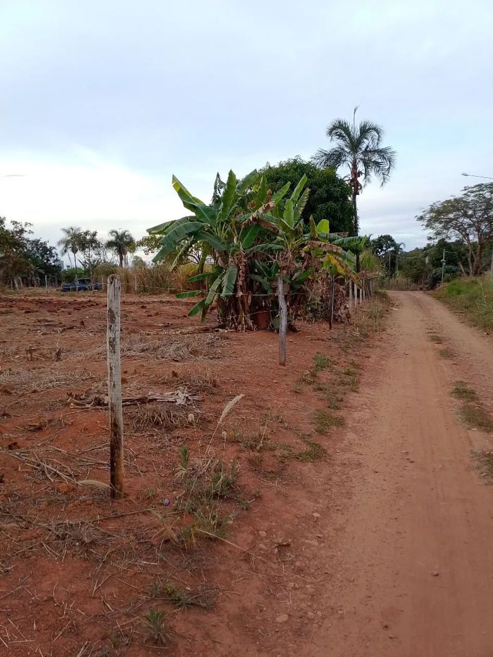 Lote - Foto 2