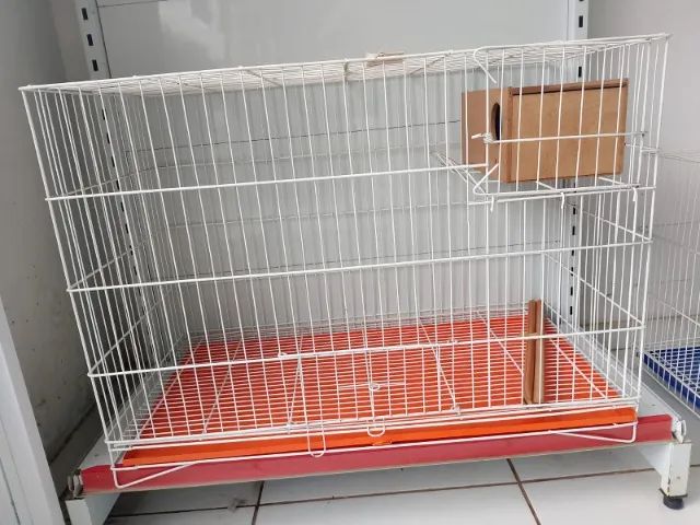 GAIOLA CALOPSITA - Foto 3