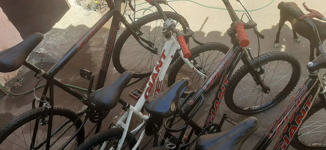 Bicicletas  - Foto 2