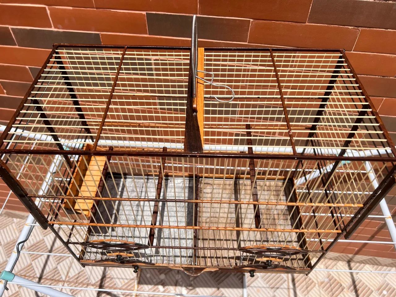 Gaiola criadeira/voador - Foto 3