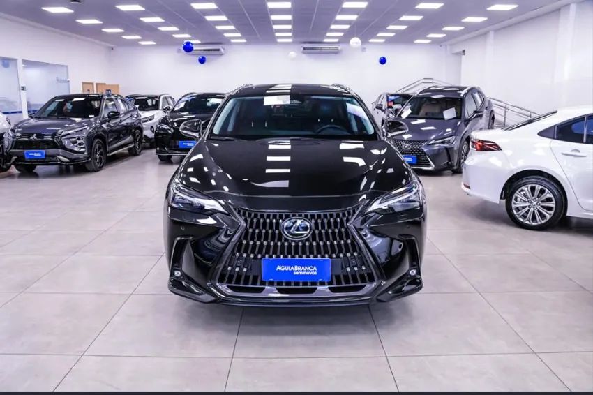 Lexus NX-350h Luxury 2.5 16V Aut. (hybrid), foto 3 de 19