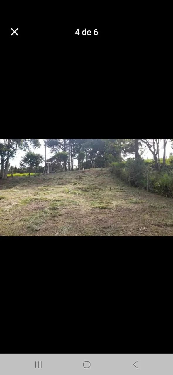 Foto - Cotia - Parque Realeza