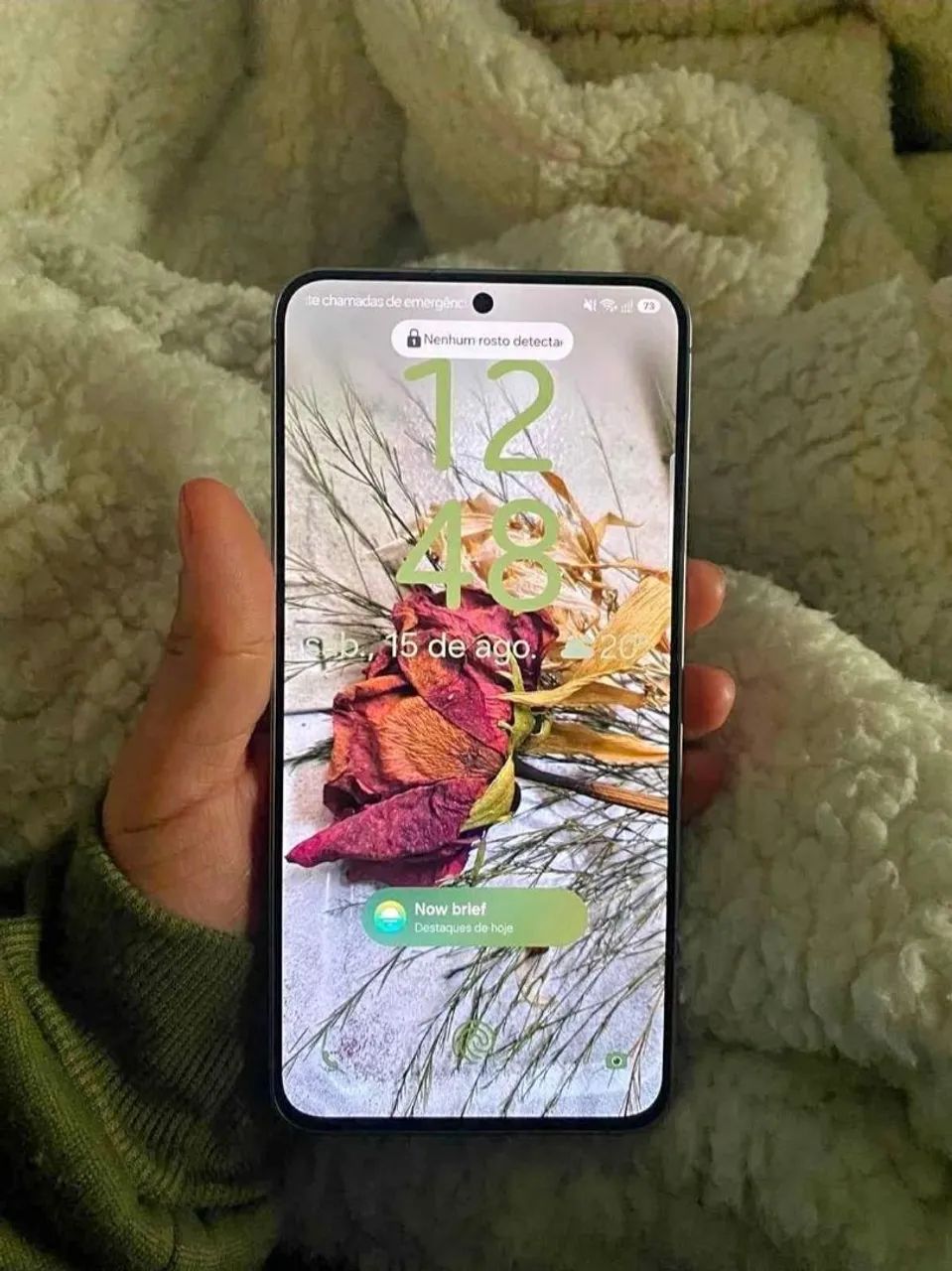 Samsumg S25 fe
