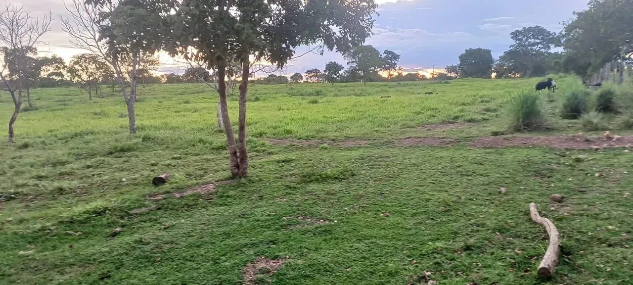 Vendo Sítio com 46 hectares no Sadia 3 - Foto 5