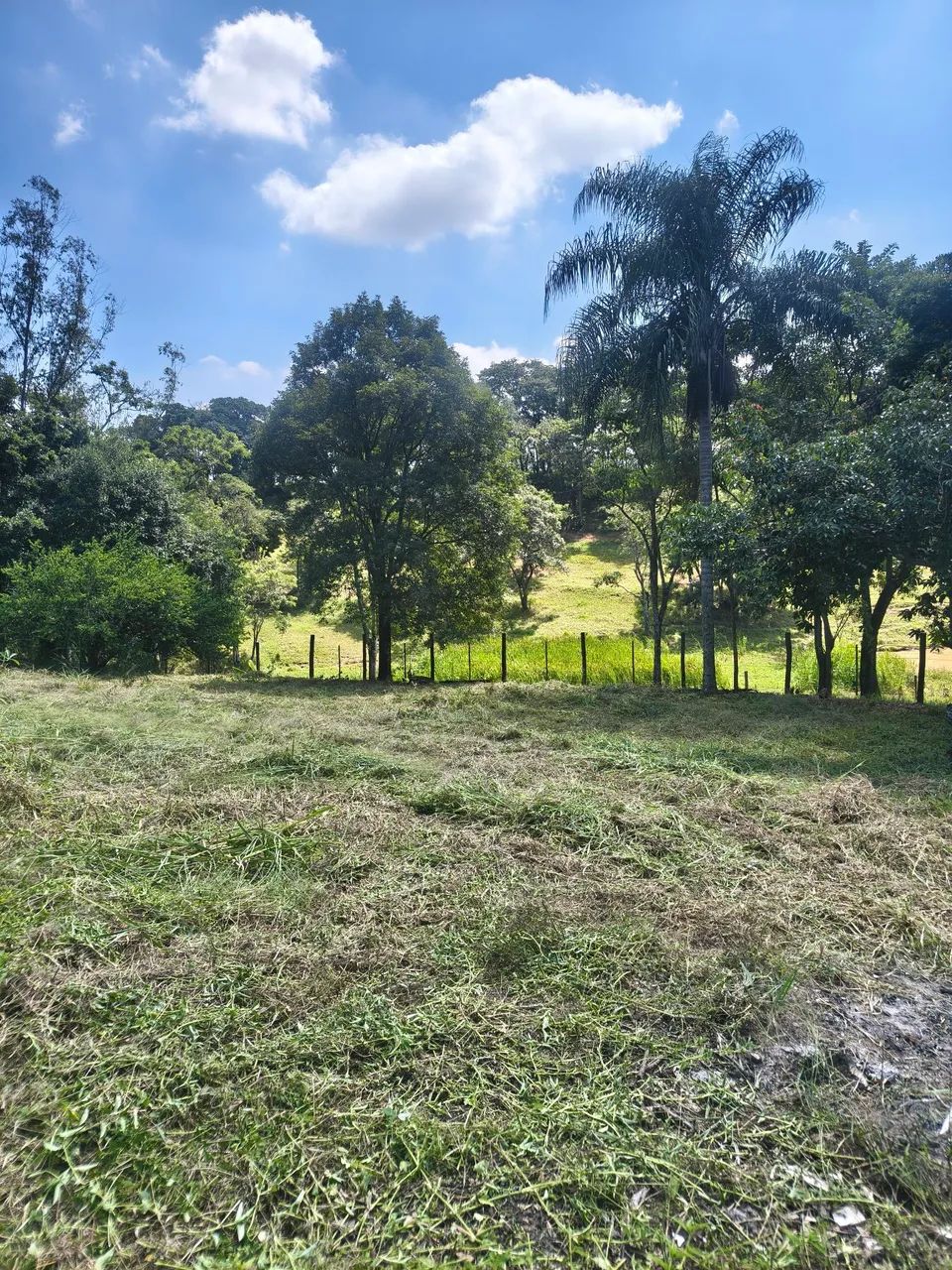 Terreno para chácara  - Foto 5