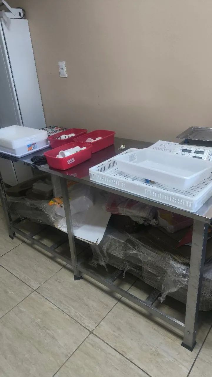 Fábrica de Salgados Completa - Venda ou Sociedade - Foto 3