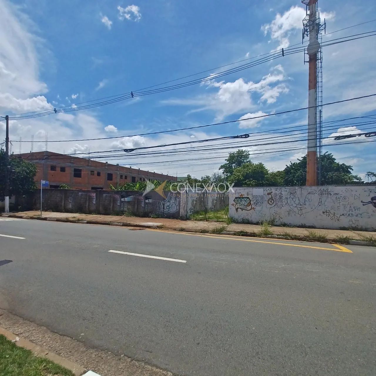 terreno - Chácara Primavera - Campinas - Foto 4