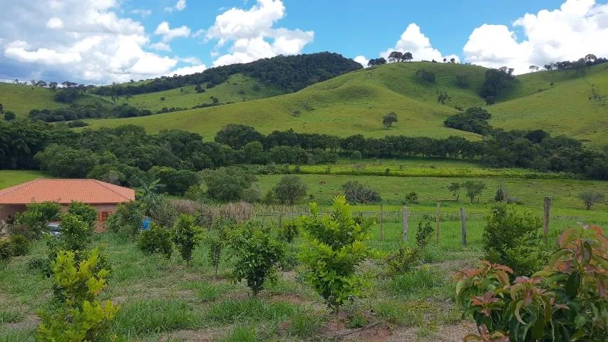 Foto - Cambuí - 