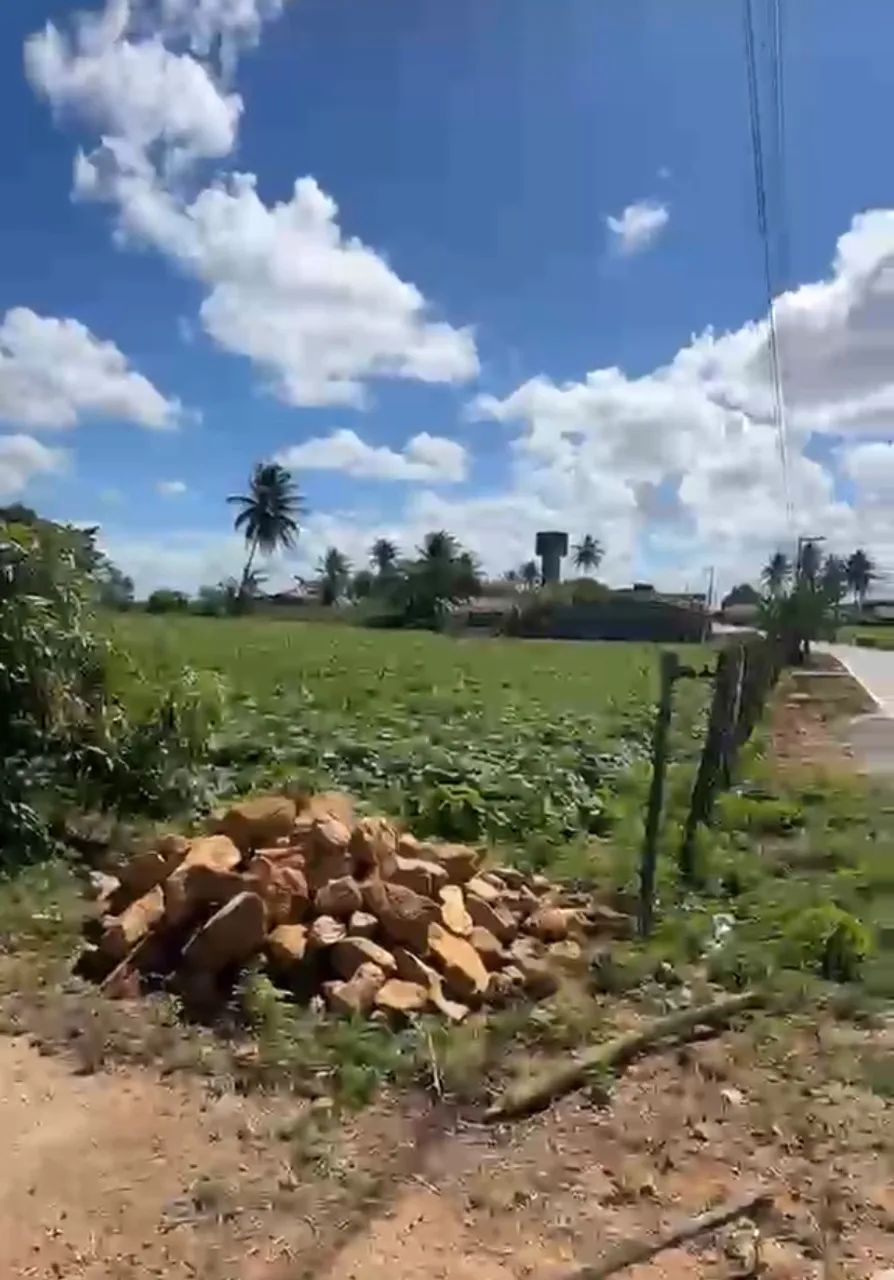 Sítio de Ailson - Foto 3