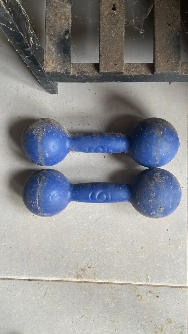 Halteres  - Foto 2