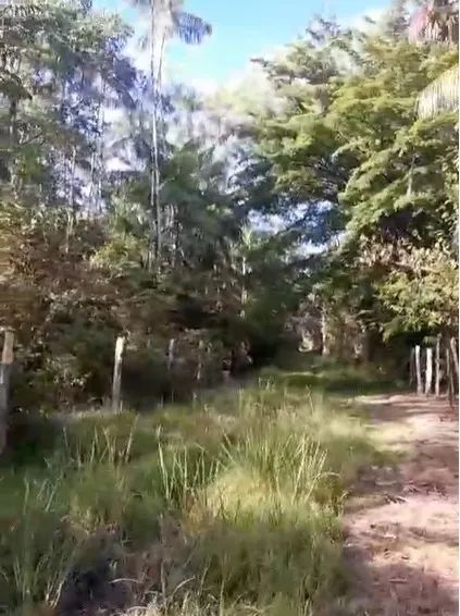 Lotes Terreno Mosqueiro 50mx50m - Foto 3