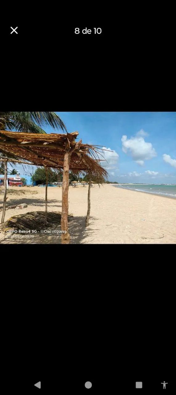 terreno na praia de pititinga - Foto 4