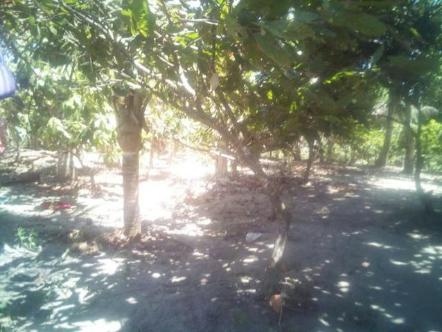 Sitio Ouro achado - Foto 4