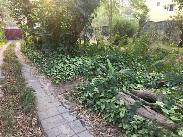 Terreno a 100 metros da lagoa Pampulha - Foto 2