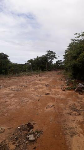 Àrea de 3.500 metros na Linha verde - Foto 3