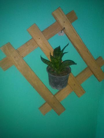 Suporte para plantas - Foto 2