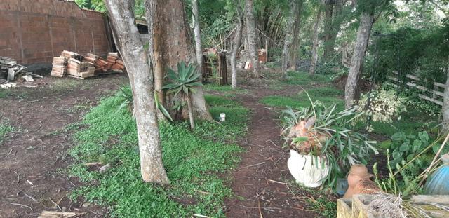 Terreno - Foto 5