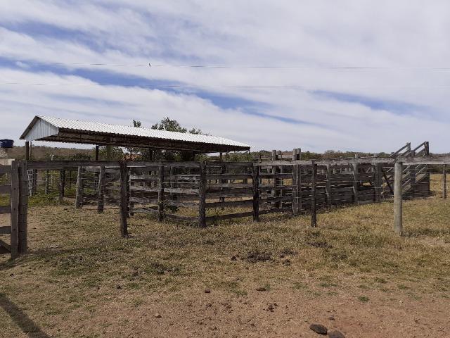 Fazenda 23 Alqueires, Formada, Plana, Terra Cultura, 1,2 Asfalto-Goiánésia - Foto 15