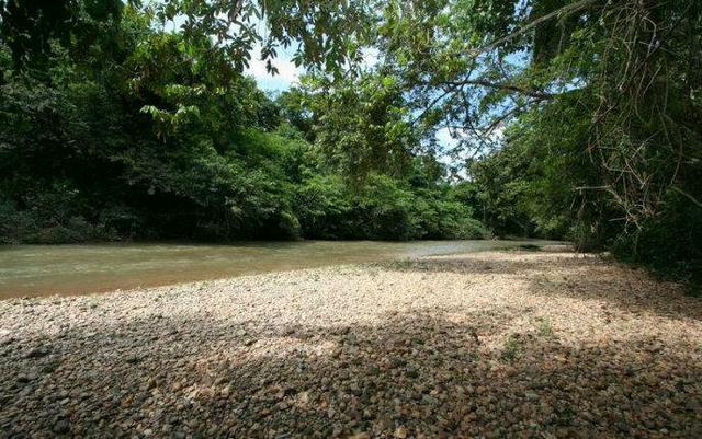 Lote De 2000 m2 na estrada da Guia / rio a 10 m - Foto 7