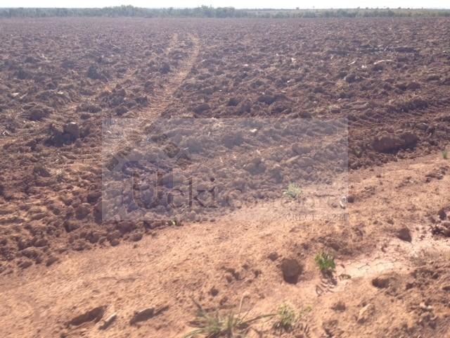 Fazenda no Mato Grosso 5.276 ha venda total - parcial ou permuta - Foto 3