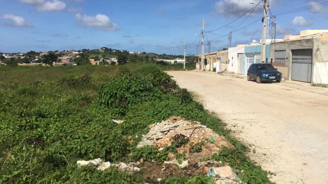 Vendo lote de 50X40m em rua pavimentada - Foto 6